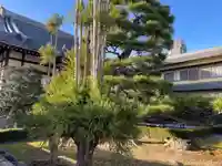 浄光院(京都府)