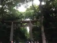 明治神宮の鳥居