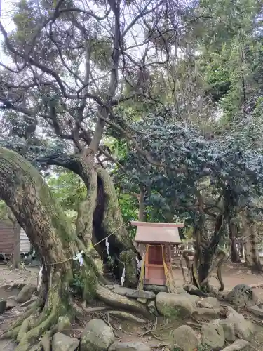 飯野八幡宮の{uncategorized: "未分類", other: "その他", undefined: "問題あり", building: "その他建物", grave: "お墓", sacred_gate: "鳥居", guardian: "狛犬", statue: "像", buddha: "仏像", history: "歴史", nature: "自然", garden: "庭園", animal: "動物", pagoda: "塔", temizu: "手水舎", mountain_gate: "山門・神門", sanctuary: "本殿・本堂", subordinate: "末社・摂社", art: "芸術", scenery: "景色", jizo: "地蔵", ema: "絵馬", goshuin: "御朱印", omikuji: "おみくじ", items: "授与品その他", amulet: "お守り", goshuincho: "御朱印帳", eats: "食事", festival: "お祭り", votive_dance: "神楽", shichigosan: "七五三参", wedding: "結婚式", experience: "体験その他", initially: "初詣", around: "周辺", anti_infection: "感染症対策"}