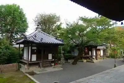 法観寺の本殿・本堂