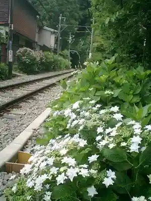 御霊神社の周辺