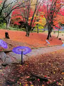 土津神社|こどもと出世の神さま(福島県)(2025年11月10日(月) 16時11分57秒投稿)