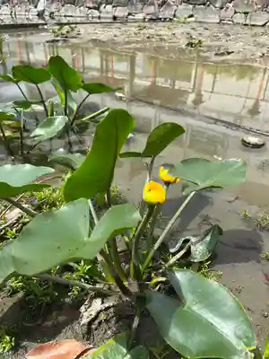 杭全神社(大阪府)