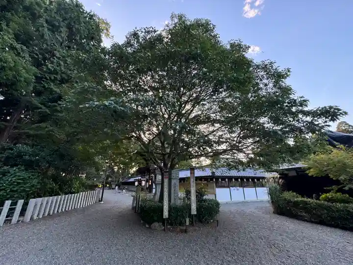 沙沙貴神社(滋賀県)