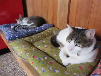 御誕生寺（猫寺）(福井県)