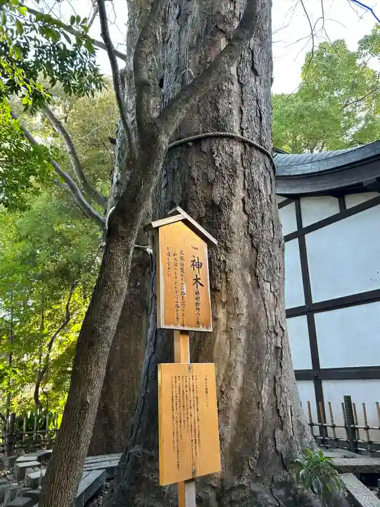 川越氷川神社の自然