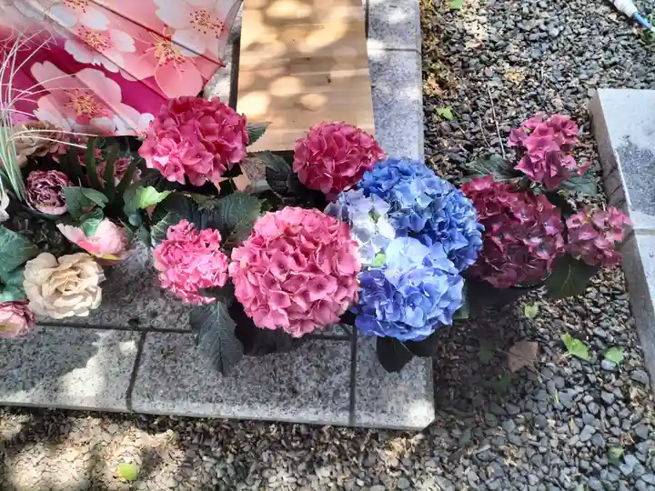 札幌諏訪神社の手水舎