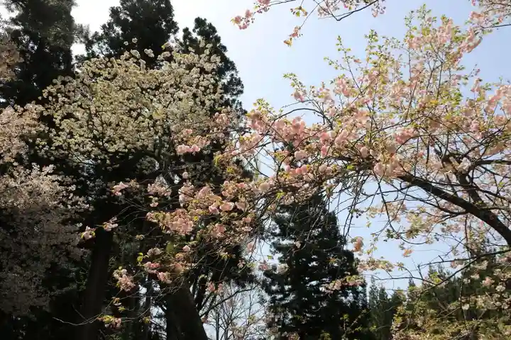 磐椅神社の自然
