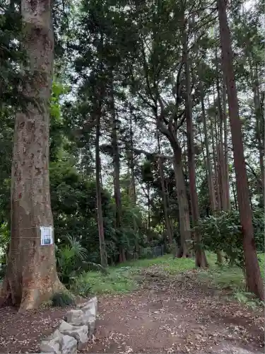 諏訪神社(神奈川県)