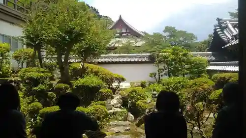 南僧坊の庭園