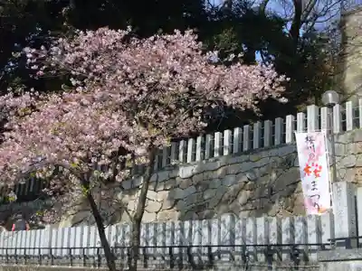 楽法寺(雨引観音)のお祭り