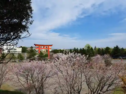 樽前山神社の自然