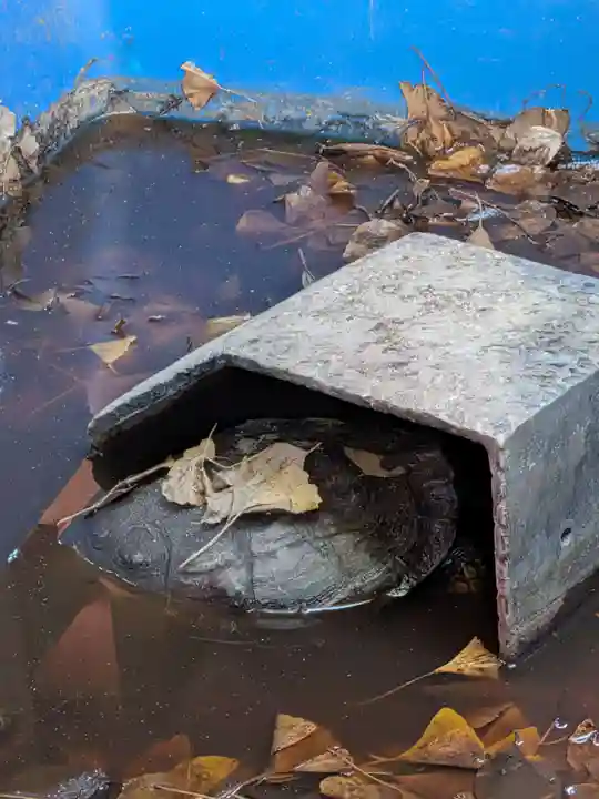 下谷神社(東京都)