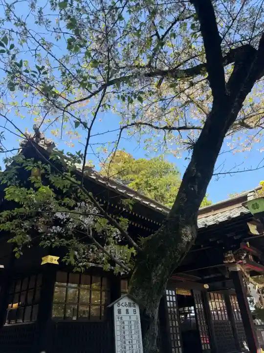 玉前神社の{uncategorized: "未分類", other: "その他", undefined: "問題あり", building: "その他建物", grave: "お墓", sacred_gate: "鳥居", guardian: "狛犬", statue: "像", buddha: "仏像", history: "歴史", nature: "自然", garden: "庭園", animal: "動物", pagoda: "塔", temizu: "手水舎", mountain_gate: "山門・神門", sanctuary: "本殿・本堂", subordinate: "末社・摂社", art: "芸術", scenery: "景色", jizo: "地蔵", ema: "絵馬", goshuin: "御朱印", omikuji: "おみくじ", items: "授与品その他", amulet: "お守り", goshuincho: "御朱印帳", eats: "食事", festival: "お祭り", votive_dance: "神楽", shichigosan: "七五三参", wedding: "結婚式", experience: "体験その他", initially: "初詣", around: "周辺", anti_infection: "感染症対策"}
