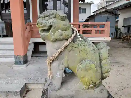 加茂神社の狛犬