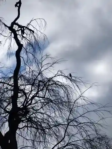 神炊館神社 ⁂奥州須賀川総鎮守⁂(福島県)