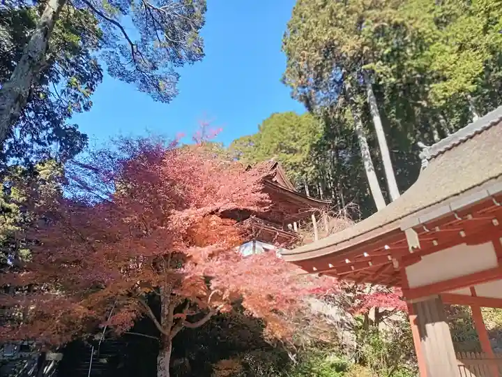 長命寺(滋賀県)