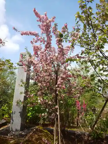 櫛田神社の自然