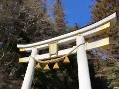 宝登山神社の鳥居