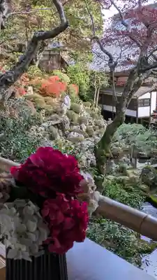 柳谷観音　楊谷寺(京都府)