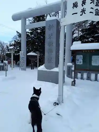 新琴似神社の鳥居