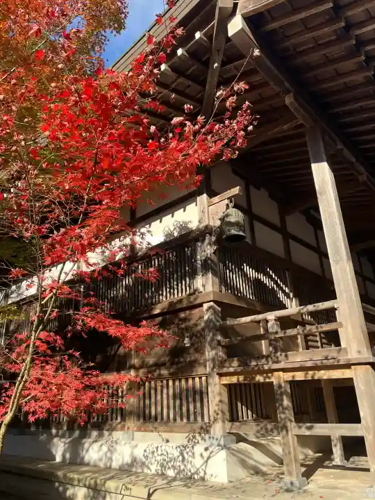 横蔵寺(岐阜県)