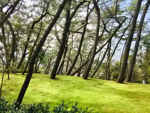 稲毛浅間神社の庭園