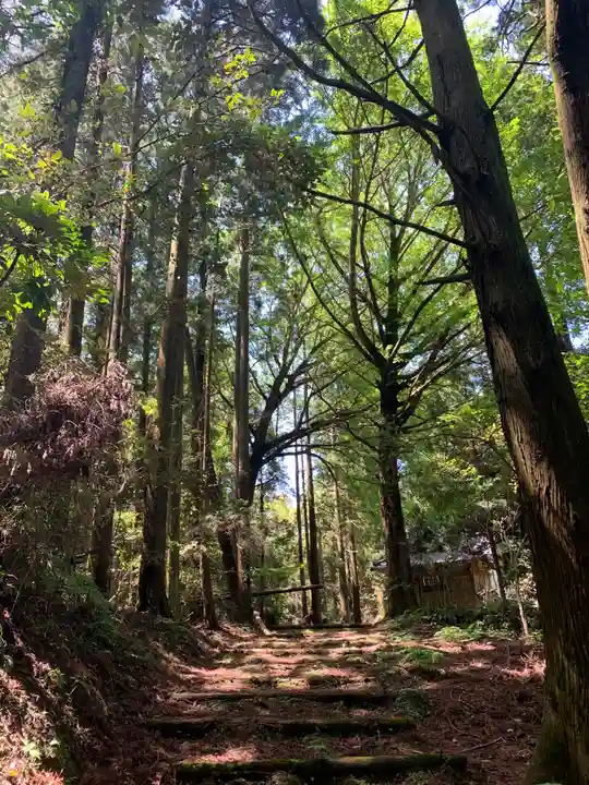 白山神社の周辺