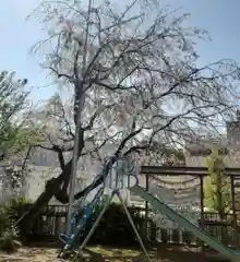 根岸八幡神社(神奈川県)