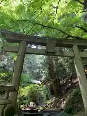 名草厳島神社の鳥居