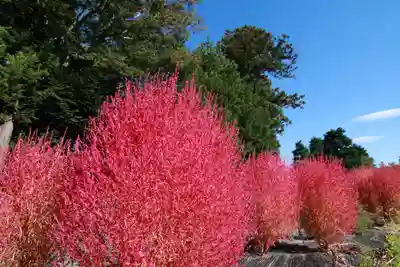 高司神社〜むすびの神の鎮まる社〜の周辺