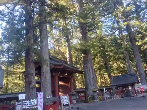 日光二荒山神社(栃木県)