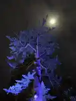 滑川神社 - 仕事と子どもの守り神(福島県)