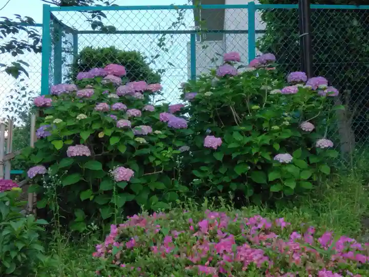 白幡八幡大神(神奈川県)
