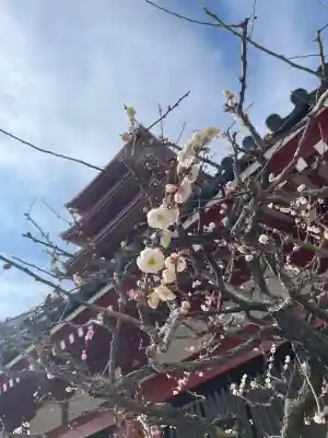 浅草寺の{uncategorized: "未分類", other: "その他", undefined: "問題あり", building: "その他建物", grave: "お墓", sacred_gate: "鳥居", guardian: "狛犬", statue: "像", buddha: "仏像", history: "歴史", nature: "自然", garden: "庭園", animal: "動物", pagoda: "塔", temizu: "手水舎", mountain_gate: "山門・神門", sanctuary: "本殿・本堂", subordinate: "末社・摂社", art: "芸術", scenery: "景色", jizo: "地蔵", ema: "絵馬", goshuin: "御朱印", omikuji: "おみくじ", items: "授与品その他", amulet: "お守り", goshuincho: "御朱印帳", eats: "食事", festival: "お祭り", votive_dance: "神楽", shichigosan: "七五三参", wedding: "結婚式", experience: "体験その他", initially: "初詣", around: "周辺", anti_infection: "感染症対策"}