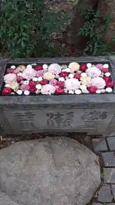 行田八幡神社の手水舎