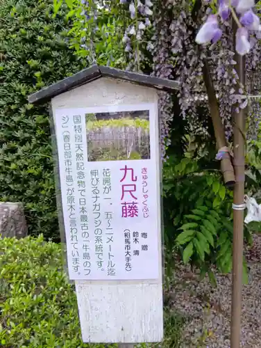 涼ケ岡八幡神社(福島県)