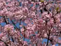 普門院の{uncategorized: "未分類", other: "その他", undefined: "問題あり", building: "その他建物", grave: "お墓", sacred_gate: "鳥居", guardian: "狛犬", statue: "像", buddha: "仏像", history: "歴史", nature: "自然", garden: "庭園", animal: "動物", pagoda: "塔", temizu: "手水舎", mountain_gate: "山門・神門", sanctuary: "本殿・本堂", subordinate: "末社・摂社", art: "芸術", scenery: "景色", jizo: "地蔵", ema: "絵馬", goshuin: "御朱印", omikuji: "おみくじ", items: "授与品その他", amulet: "お守り", goshuincho: "御朱印帳", eats: "食事", festival: "お祭り", votive_dance: "神楽", shichigosan: "七五三参", wedding: "結婚式", experience: "体験その他", initially: "初詣", around: "周辺", anti_infection: "感染症対策"}