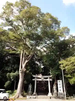 日吉神社の鳥居