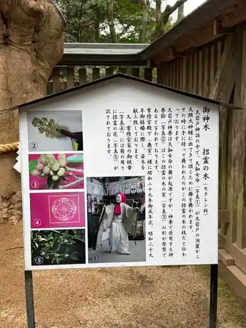 天岩戸神社(宮崎県)