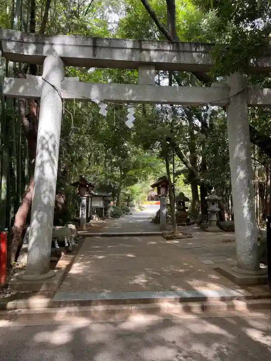 道野辺八幡宮の{uncategorized: "未分類", other: "その他", undefined: "問題あり", building: "その他建物", grave: "お墓", sacred_gate: "鳥居", guardian: "狛犬", statue: "像", buddha: "仏像", history: "歴史", nature: "自然", garden: "庭園", animal: "動物", pagoda: "塔", temizu: "手水舎", mountain_gate: "山門・神門", sanctuary: "本殿・本堂", subordinate: "末社・摂社", art: "芸術", scenery: "景色", jizo: "地蔵", ema: "絵馬", goshuin: "御朱印", omikuji: "おみくじ", items: "授与品その他", amulet: "お守り", goshuincho: "御朱印帳", eats: "食事", festival: "お祭り", votive_dance: "神楽", shichigosan: "七五三参", wedding: "結婚式", experience: "体験その他", initially: "初詣", around: "周辺", anti_infection: "感染症対策"}