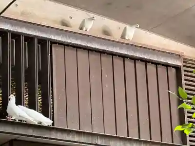 靖國神社(東京都)