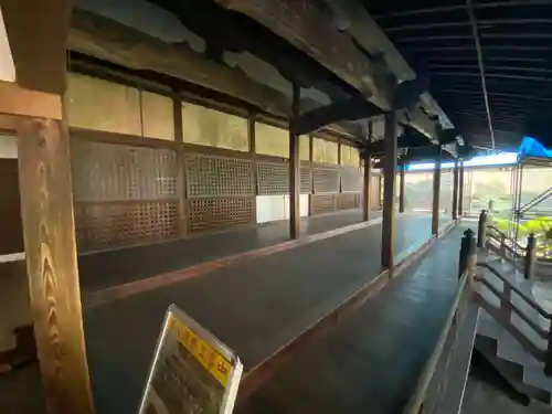 隨心院（随心院）(京都府)