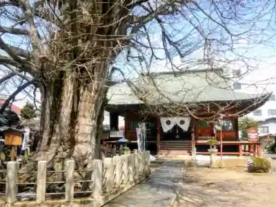 飛騨国分寺の{uncategorized: "未分類", other: "その他", undefined: "問題あり", building: "その他建物", grave: "お墓", sacred_gate: "鳥居", guardian: "狛犬", statue: "像", buddha: "仏像", history: "歴史", nature: "自然", garden: "庭園", animal: "動物", pagoda: "塔", temizu: "手水舎", mountain_gate: "山門・神門", sanctuary: "本殿・本堂", subordinate: "末社・摂社", art: "芸術", scenery: "景色", jizo: "地蔵", ema: "絵馬", goshuin: "御朱印", omikuji: "おみくじ", items: "授与品その他", amulet: "お守り", goshuincho: "御朱印帳", eats: "食事", festival: "お祭り", votive_dance: "神楽", shichigosan: "七五三参", wedding: "結婚式", experience: "体験その他", initially: "初詣", around: "周辺", anti_infection: "感染症対策"}
