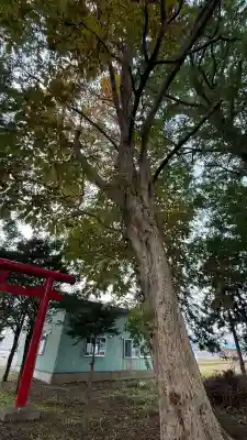 一本木稲荷神社(北海道)
