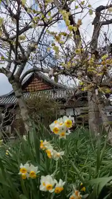 惠心院（恵心院）(京都府)
