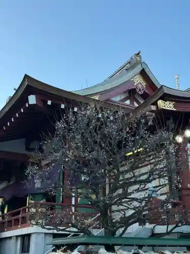 亀戸天神社の{uncategorized: "未分類", other: "その他", undefined: "問題あり", building: "その他建物", grave: "お墓", sacred_gate: "鳥居", guardian: "狛犬", statue: "像", buddha: "仏像", history: "歴史", nature: "自然", garden: "庭園", animal: "動物", pagoda: "塔", temizu: "手水舎", mountain_gate: "山門・神門", sanctuary: "本殿・本堂", subordinate: "末社・摂社", art: "芸術", scenery: "景色", jizo: "地蔵", ema: "絵馬", goshuin: "御朱印", omikuji: "おみくじ", items: "授与品その他", amulet: "お守り", goshuincho: "御朱印帳", eats: "食事", festival: "お祭り", votive_dance: "神楽", shichigosan: "七五三参", wedding: "結婚式", experience: "体験その他", initially: "初詣", around: "周辺", anti_infection: "感染症対策"}