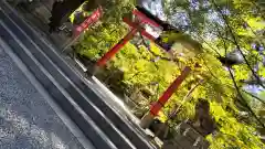 鍬山神社(京都府)