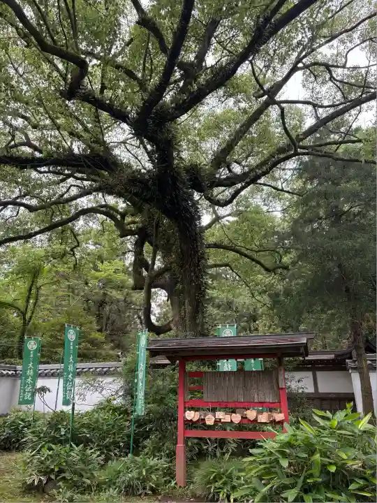 賀茂神社(愛知県)
