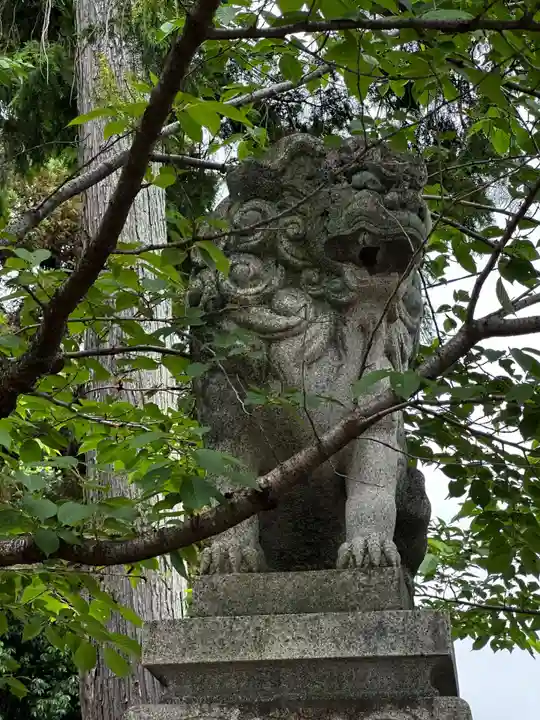 針綱神社(愛知県)